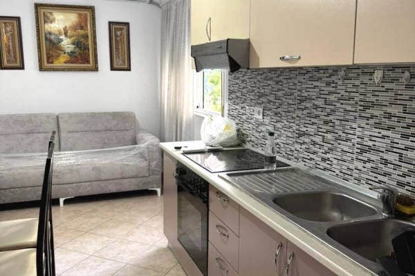 Shtepi me qera Apartament ne Tirane, 1+1, Mobilimi E mobiluar, Pagesa 50,000  Leke.