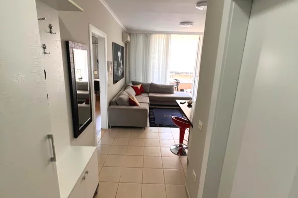Apartment for rent in Tirana 1+1, Furnished