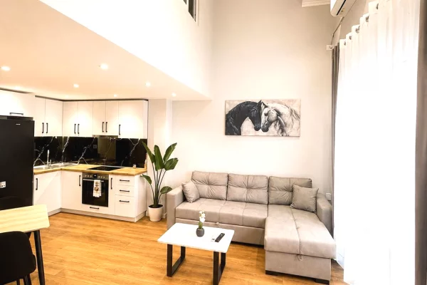 Shtepi ne shitje Duplex(shtepi me 2 kate) ne Tirane, 1+1, Mobilimi E mobiluar, Pagesa 128,000  Euro.