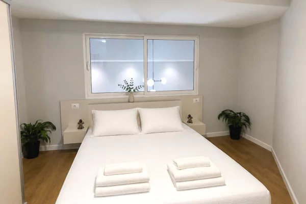 Shtepi ne shitje Duplex(shtepi me 2 kate) ne Tirane, 1+1, Mobilimi E mobiluar, Pagesa 128,000  Euro.