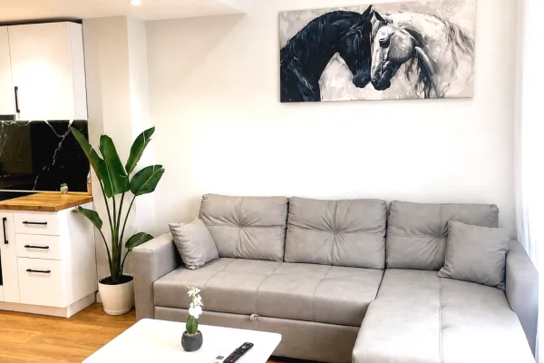 Shtepi ne shitje Duplex(shtepi me 2 kate) ne Tirane, 1+1, Mobilimi E mobiluar, Pagesa 128,000  Euro.