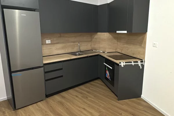 Apartment for rent in Tirana 1+1, Emty