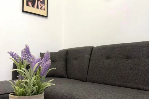 Shtepi ne shitje Apartament ne Durres, 1+1, Mobilimi E mobiluar, Pagesa 130,000  Euro.