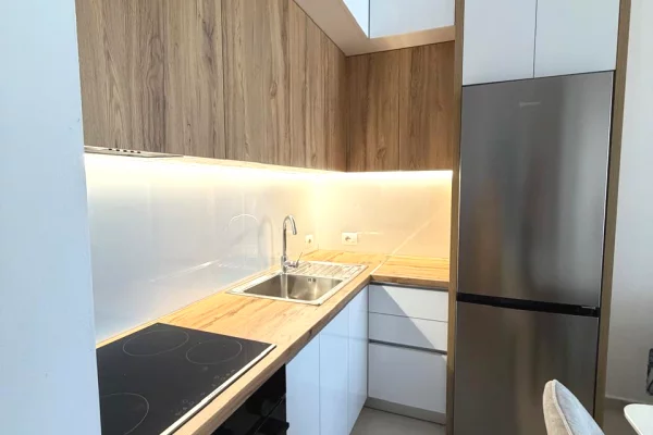 Shtepi me qera Apartament ne Tirane, 1+1, Mobilimi E mobiluar, Pagesa 50,000  Leke.