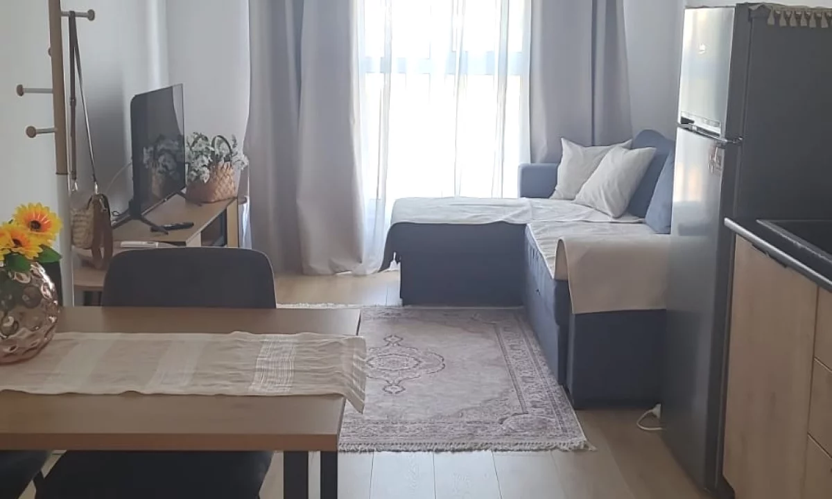 Shtepi me qera Apartament ne Tirane, 1+1, Mobilimi E mobiluar, Pagesa 40,000  Leke.
