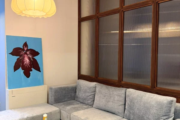 Shtepi me qera Apartament ne Tirane, 1+1, Mobilimi E mobiluar, Pagesa 70,000  Leke.