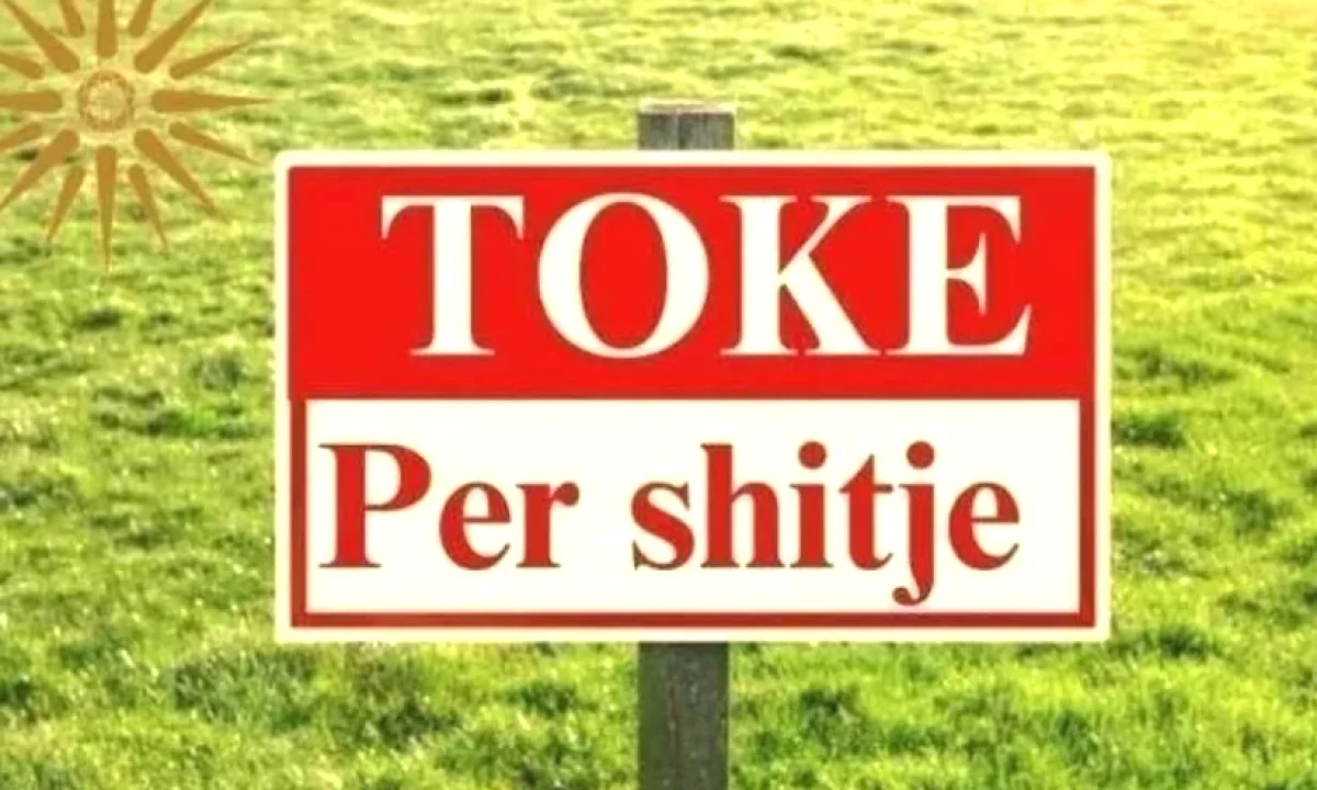 🌿 Shitet Toke Truall – Prane Brunesit, Autostrada Tirane–Durres ✨