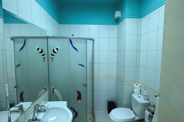 Shtepi ne shitje Apartament ne Tirane, 3+1, Mobilimi Pjeserisht e mobiluar, Pagesa 150,000  Euro.