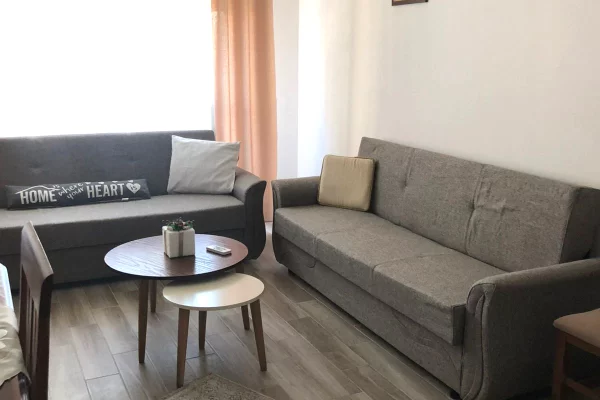 Casa in affitto 1+1 a Tirana - 50,000 Leke