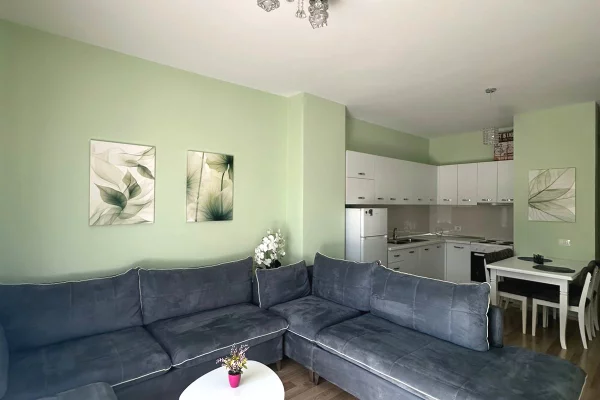 Shtepi me qera Apartament ne Tirane, 1+1, Mobilimi E mobiluar, Pagesa 700  Euro.