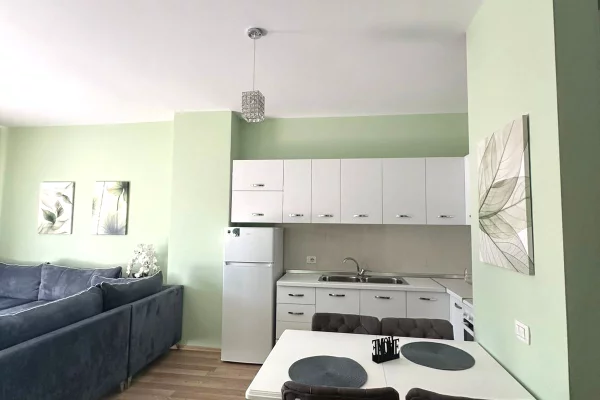 Shtepi me qera Apartament ne Tirane, 1+1, Mobilimi E mobiluar, Pagesa 700  Euro.