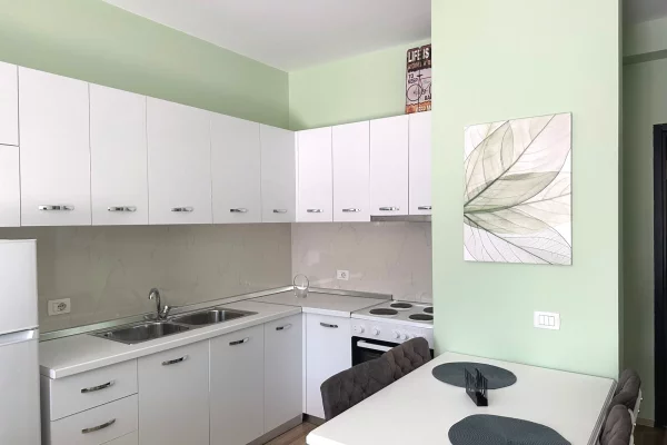 Shtepi me qera Apartament ne Tirane, 1+1, Mobilimi E mobiluar, Pagesa 700  Euro.