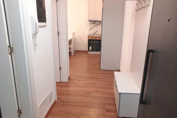 Shtepi me qera Apartament ne Tirane, 1+1, Mobilimi E mobiluar, Pagesa 70,000  Leke.