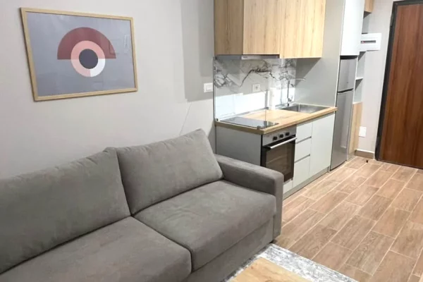 Shtepi me qera Apartament ne Tirane, Garsoniere, Mobilimi E mobiluar, Pagesa 45,000  Leke.