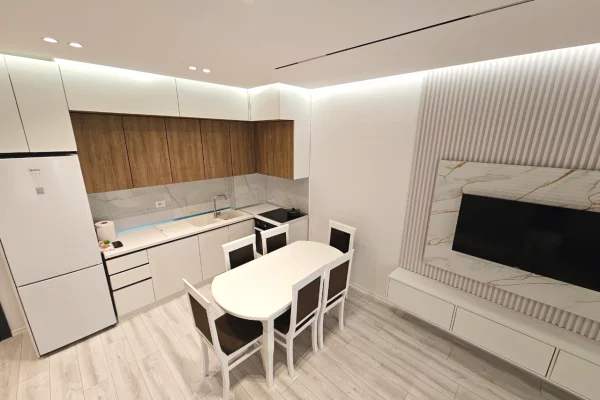 Shtepi me qera 1+1 ne Tirane - 600 Euro