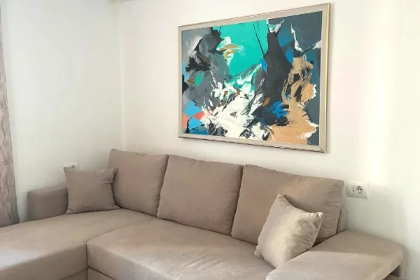 Shtepi me qera Apartament ne Tirane, 1+1, Mobilimi E mobiluar, Pagesa 65,000  Leke.