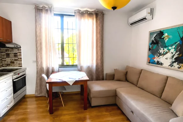 Shtepi me qera Apartament ne Tirane, 1+1, Mobilimi E mobiluar, Pagesa 65,000  Leke.