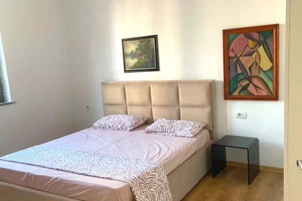 Shtepi me qera Apartament ne Tirane, 1+1, Mobilimi E mobiluar, Pagesa 65,000  Leke.