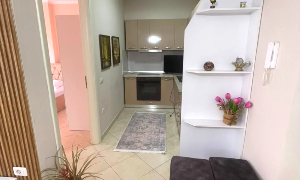 Shtepi me qera Apartament ne Tirane, 1+1, Mobilimi E mobiluar, Pagesa 60,000  Leke.