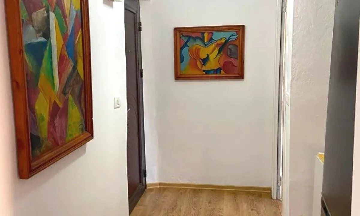 Shtepi me qera Apartament ne Tirane, 1+1, Mobilimi E mobiluar, Pagesa 65,000  Leke.