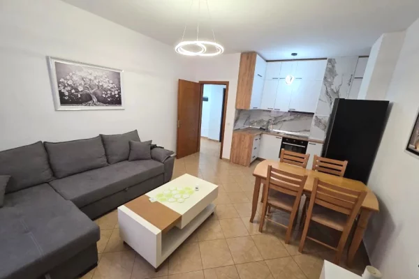 Shtepi me qera Apartament ne Tirane, 1+1, Mobilimi E mobiluar, Pagesa 50,000  Leke.