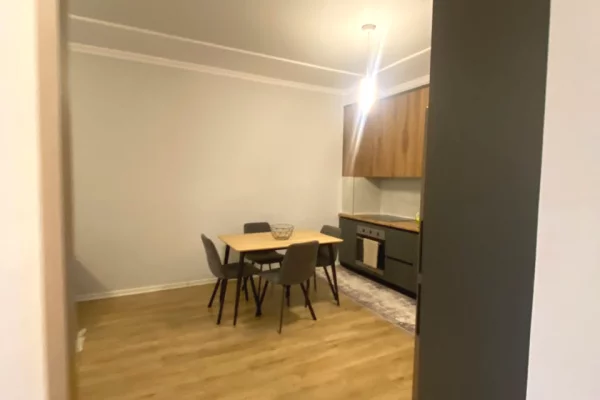 Shtepi me qera Apartament ne Tirane, 1+1, Mobilimi E mobiluar, Pagesa 55,000  Leke.