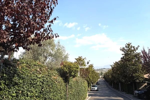 🏡 JEPET ME QIRA VILË | LONG HILL – TEG ✨🌿