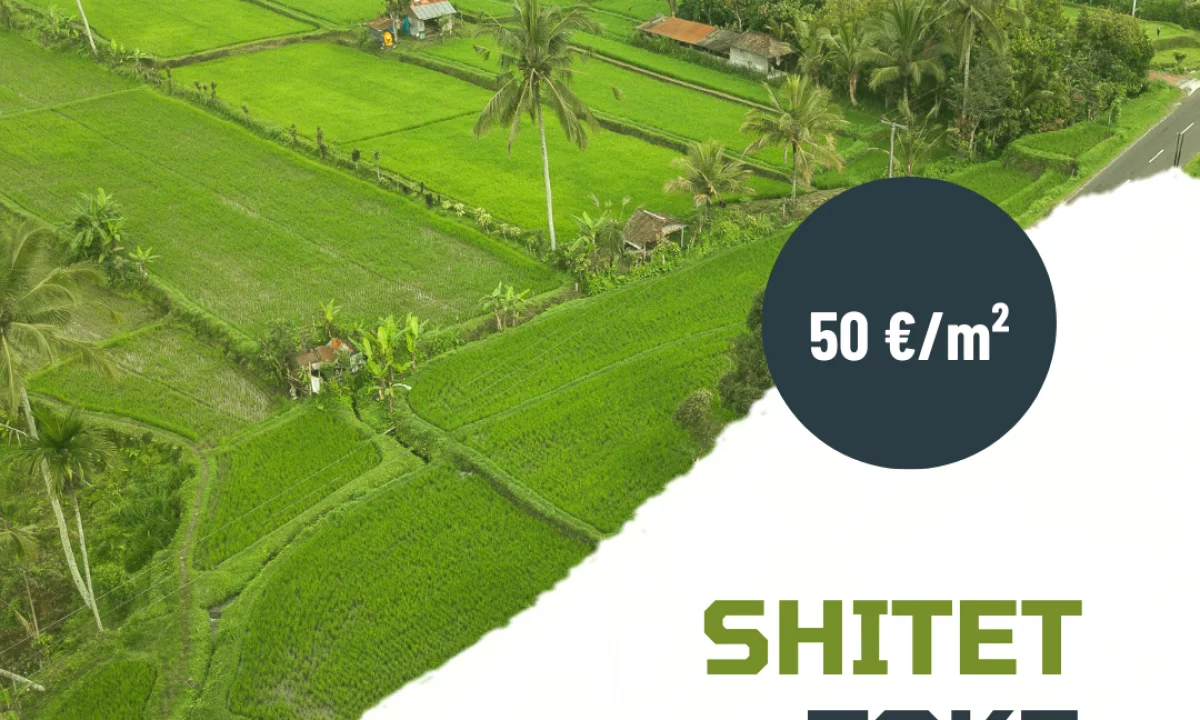 🌳 SHITET TOKE 12,000 m2 – AFER RINASIT | CMIM OKAZION‼️