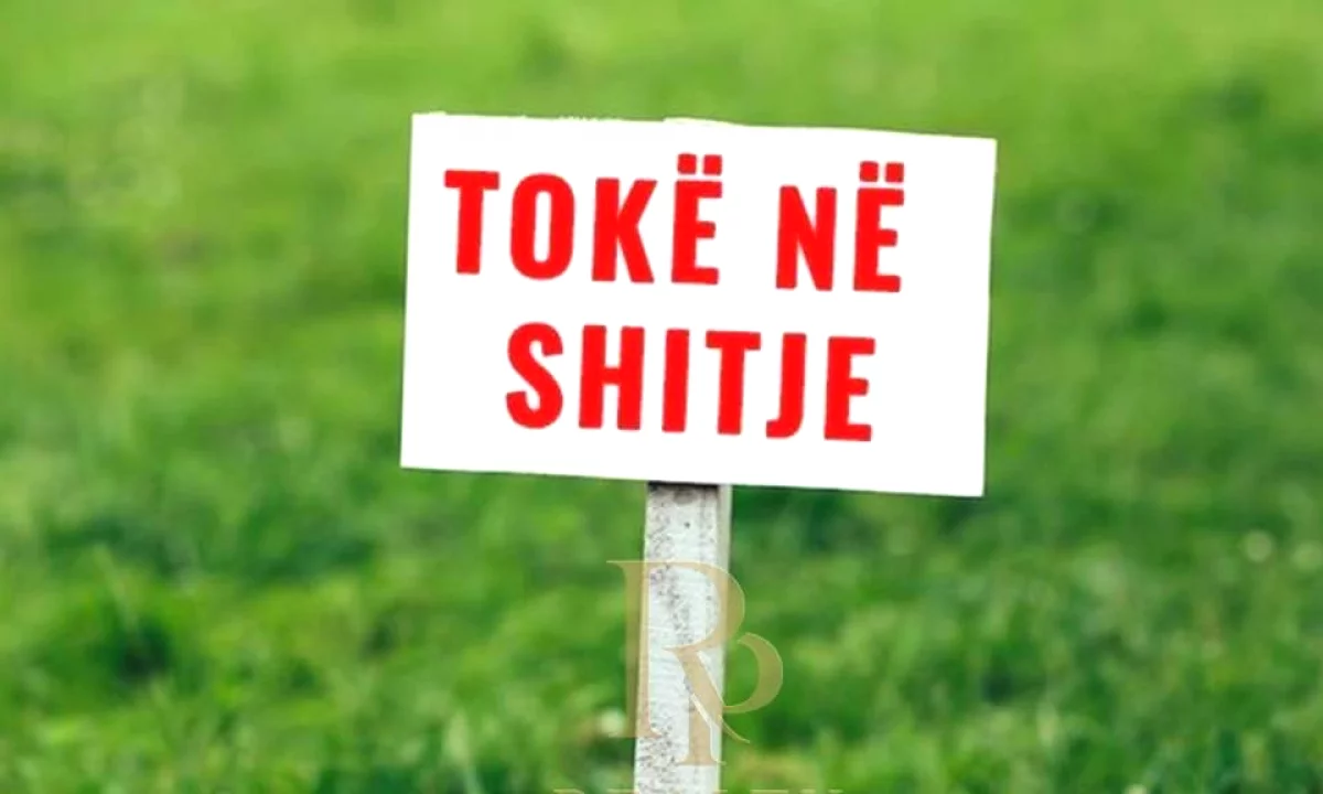 🌳 TOKE PER SHITJE – LUNDER