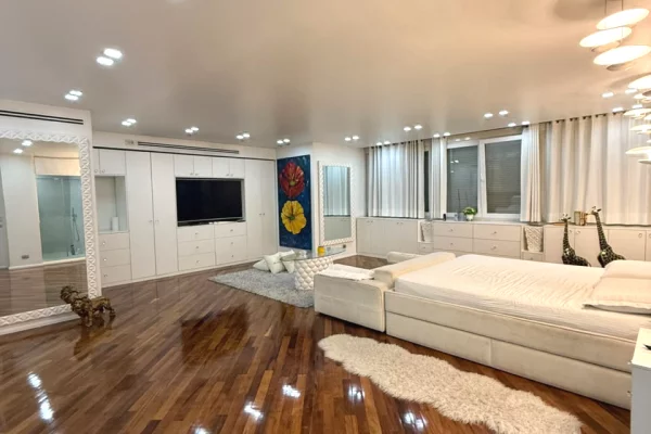 Shtepi ne shitje Apartament ne Tirane, 1+1, Mobilimi E mobiluar, Pagesa 2,000,000  Euro.