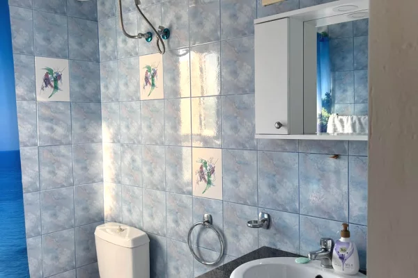Shtepi ne shitje Apartament ne Tirane, 1+1, Mobilimi E mobiluar, Pagesa 13,500,000  Leke.