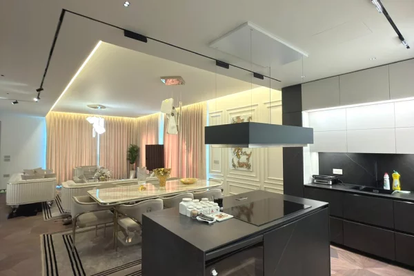 Shtepi ne shitje Apartament ne Tirane, 7+1, Mobilimi E mobiluar, Pagesa 2,000,000  Euro.