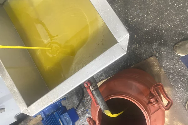 Different articles a Tirana - 700 Leke