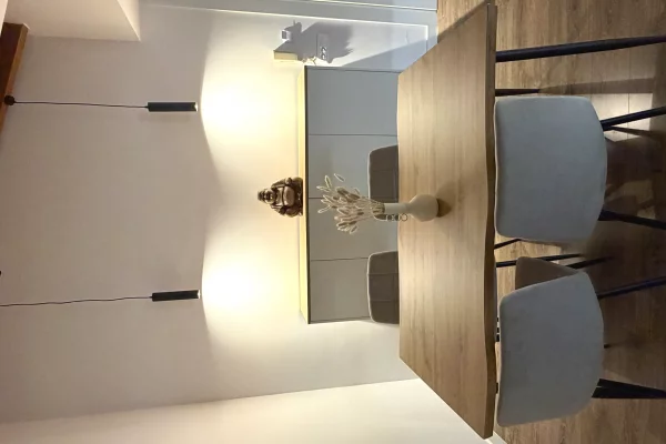 Appartamento in affitto a Tirana 1+1, Arredato