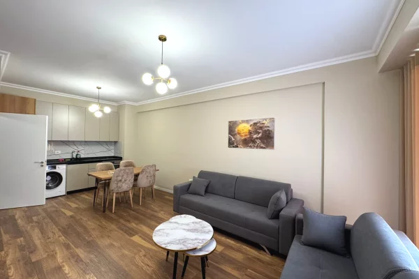 Shtepi me qera Apartament ne Tirane, 1+1, Mobilimi E mobiluar, Pagesa 50,000  Leke.