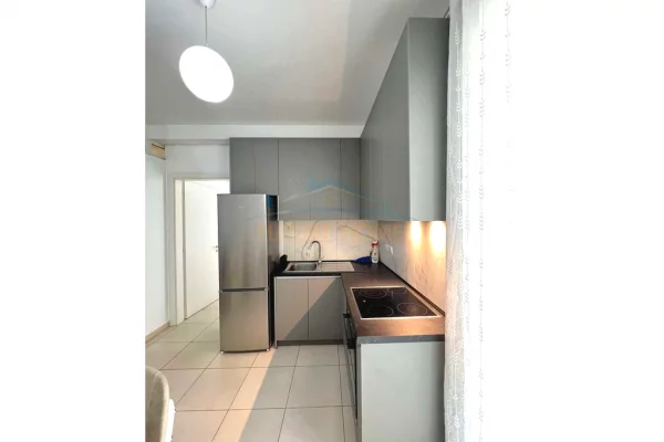 Shtepi me qera Apartament ne Tirane, 2+1, Mobilimi E mobiluar, Pagesa 580  Euro.