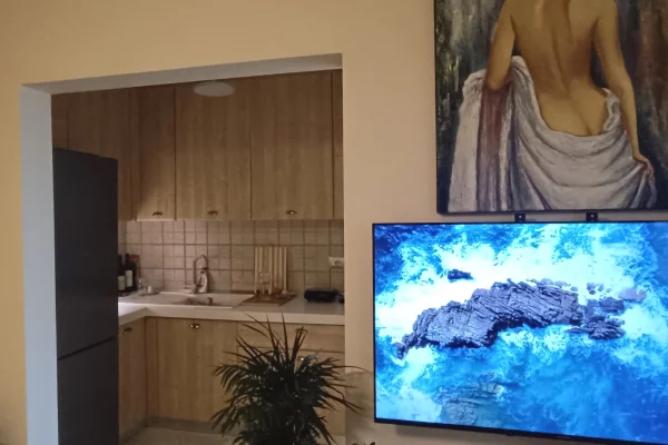 Apartment for sale in Tirana 1+1, Furnished