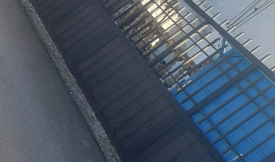 Shitet Porte Oborri – Super Gjendje, Cilesi Maksimale 👌🏡