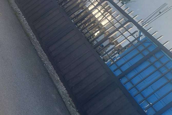 Different articles a Durazzo - 60,000 Leke