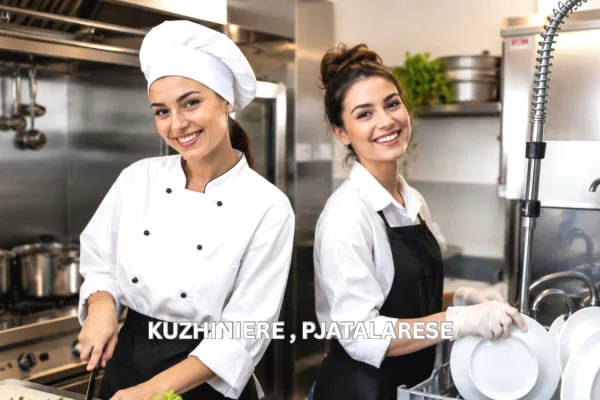 Job Offers for Kuzhiniere, Pjatalarese in Tirana