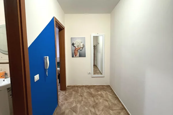 Shtepi me qera Apartament ne Tirane, 1+1, Mobilimi E mobiluar, Pagesa 550  Euro.