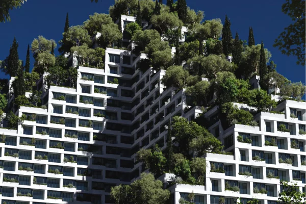 Shes 1+1 tek LION PARK 2