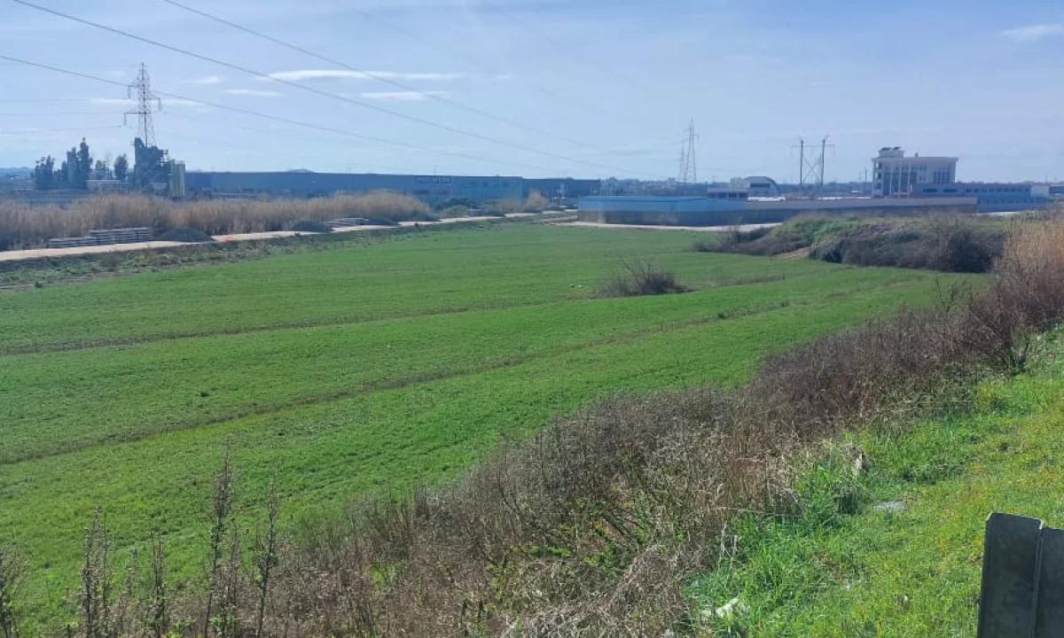 Sitet Toke Ne Autostraden Tirane-Durres