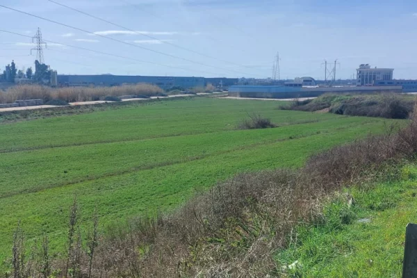 Truall ose Toke ne Durres - 288,000 Euro