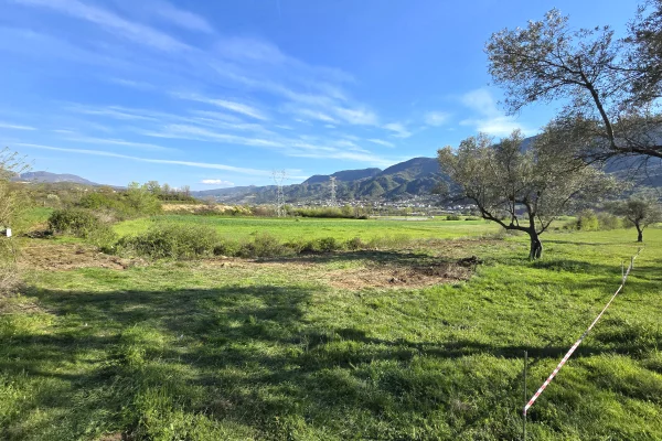 Truall ose Toke ne Tirane - 33,990 Euro