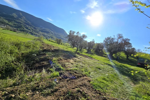 Truall ose Toke ne Tirane - 33,990 Euro