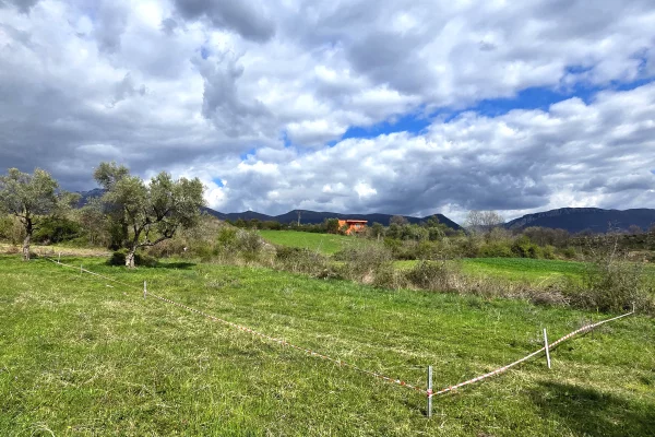 Truall ose Toke ne Tirane - 34,990 Euro