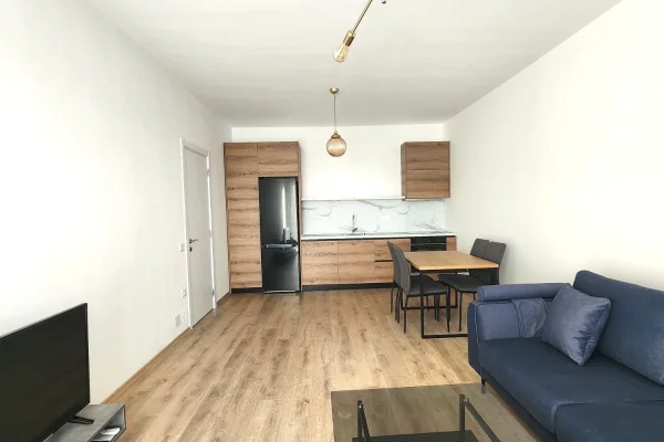 Shtepi me qera Apartament ne Tirane, 1+1, Mobilimi E mobiluar, Pagesa 60,000  Leke.