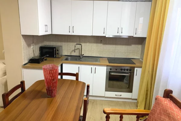 Apartament me qera 1+1 tek Rruga Bardhyl,Tirane