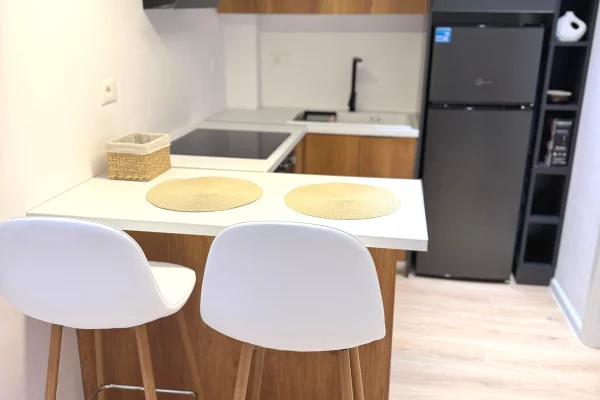 Shtepi me qera Apartament ne Tirane, Garsoniere, Mobilimi E mobiluar, Pagesa 420  Euro.